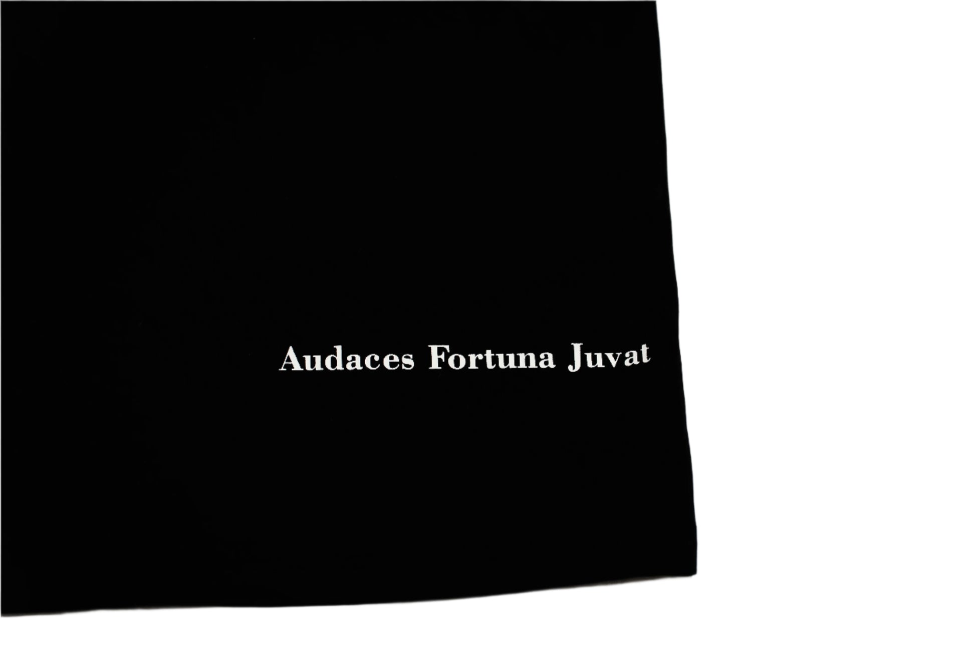 HV-1: Fortuna Tee